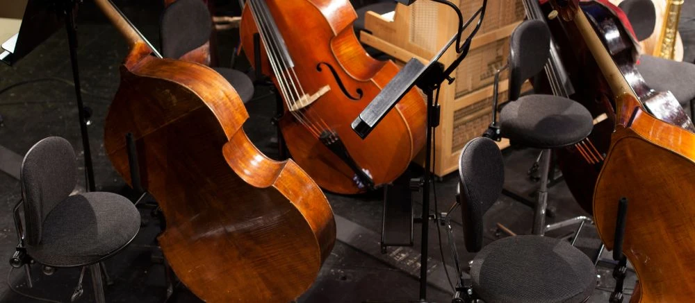 Cuidado de instrumentos de percusión