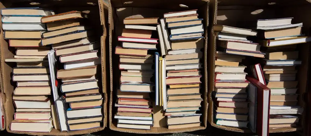 Limpieza regular de estanterías y libros