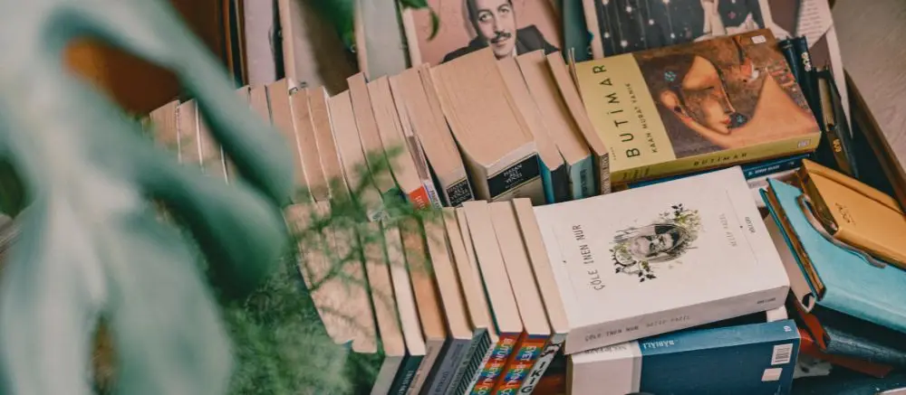 Por qué los libros son vulnerables al moho y plagas